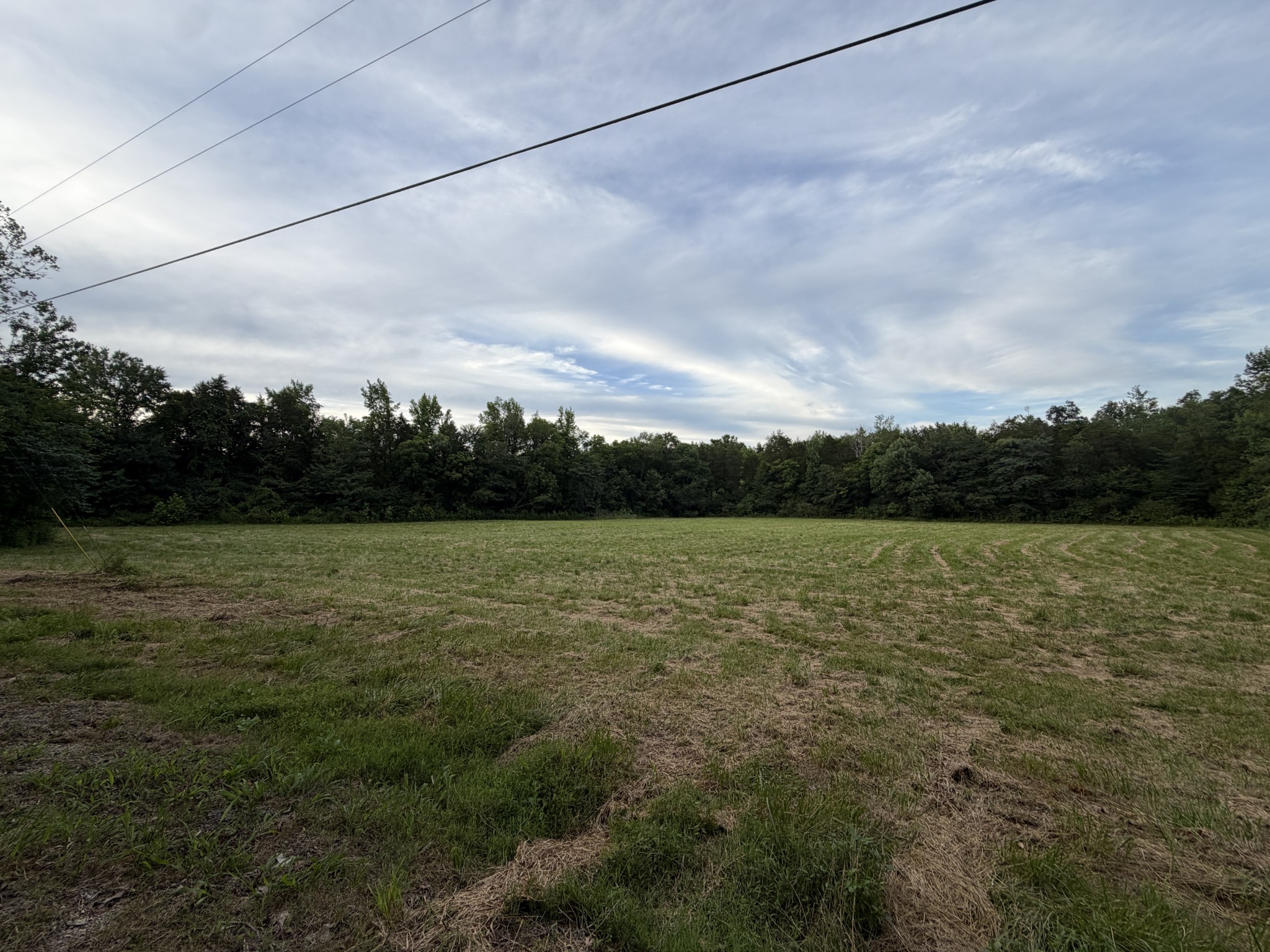 0 Dry Branch Road Holladay, TN 38341 - Photo 10 of 17