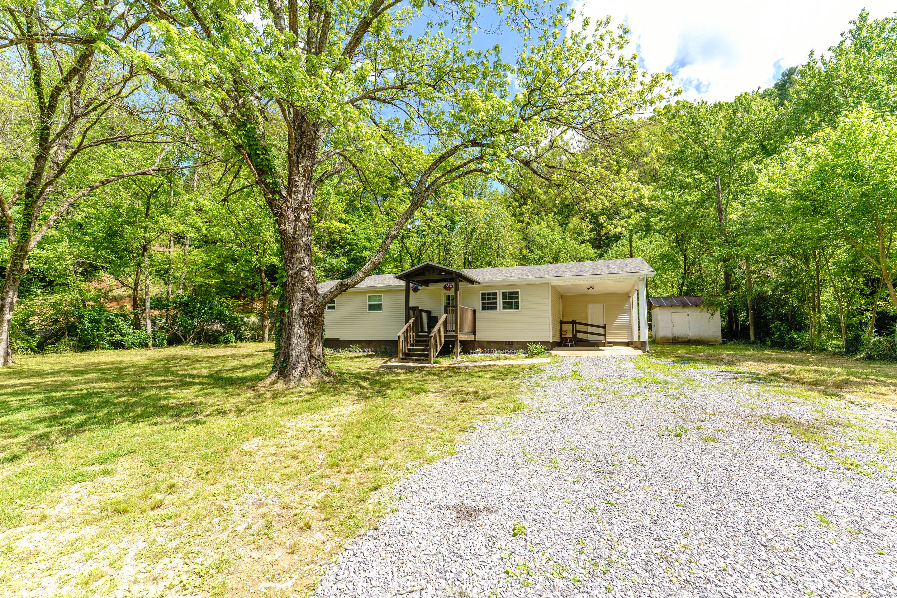 3674 Wilhite Road Sevierville, TN 37876 - Photo 11 of 12 frnt yard 1