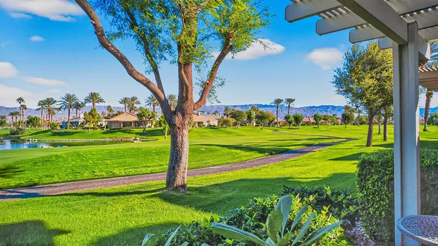 an aerial view of a swimming pool with a yard and plants