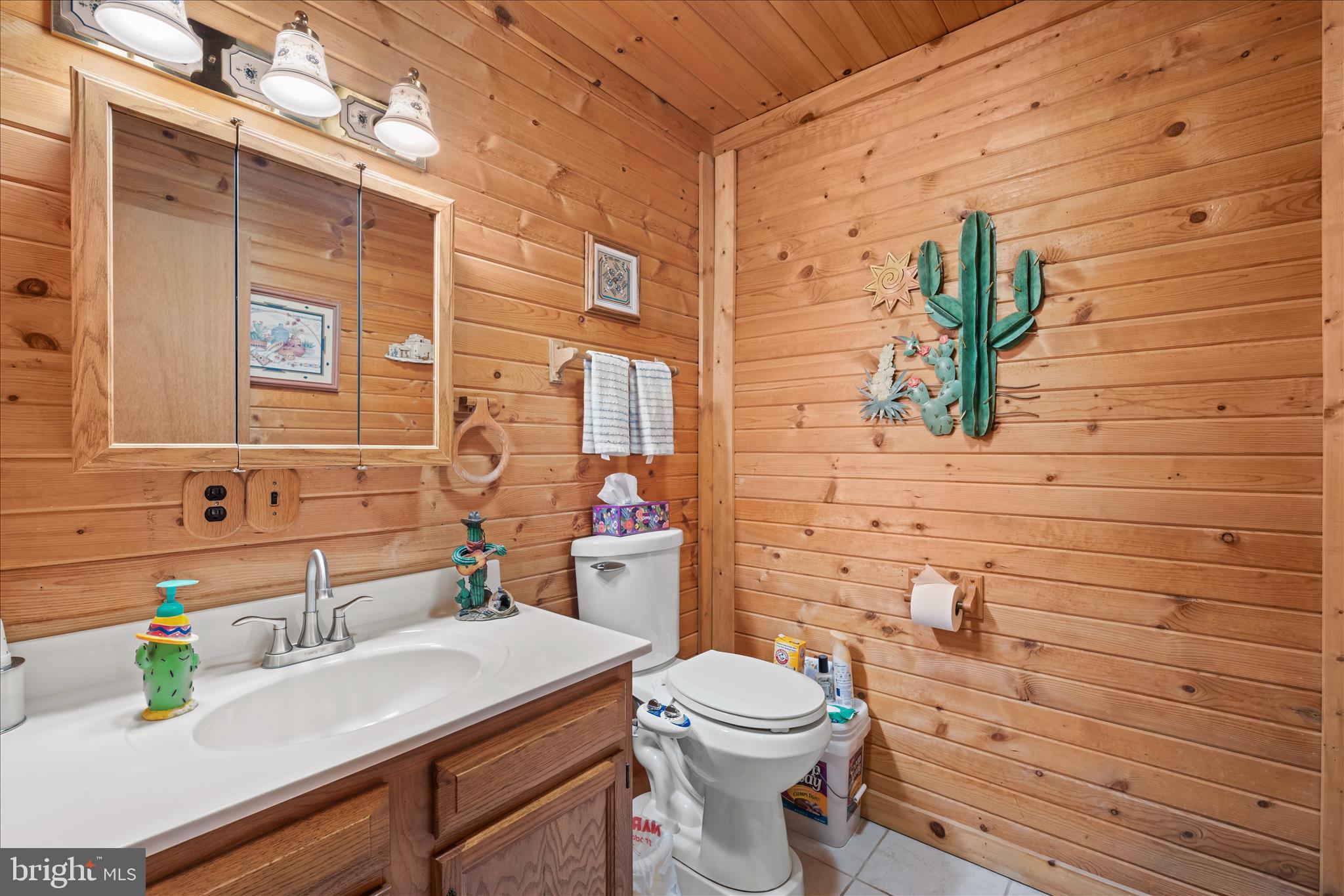 4176 Timber Ridge Road Berkeley Springs, WV 25411 - Photo 23 of 61 a bathroom with a sink a toilet and shower