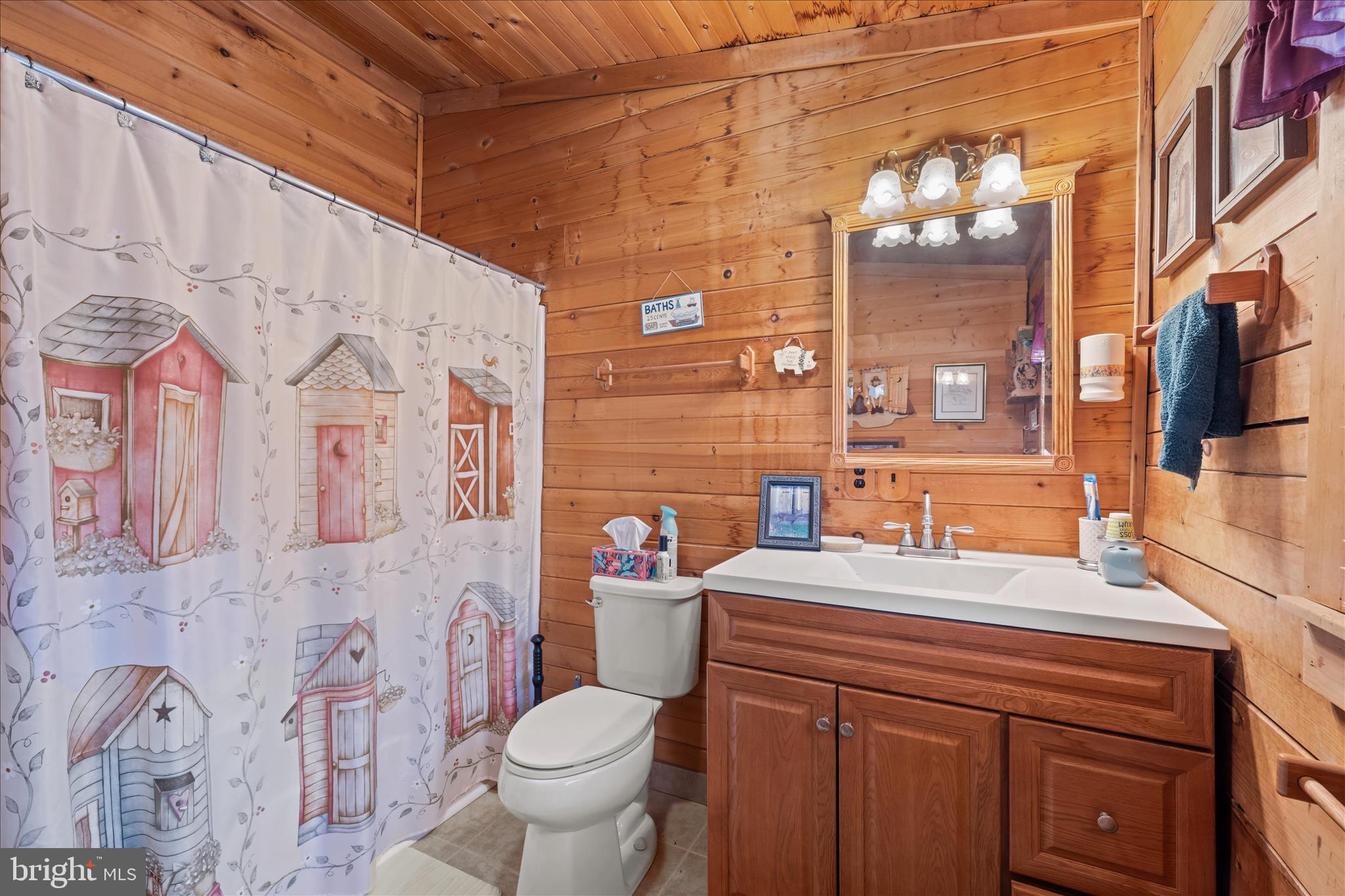 4176 Timber Ridge Road Berkeley Springs, WV 25411 - Photo 26 of 61 a bathroom with a sink toilet vanity and shower