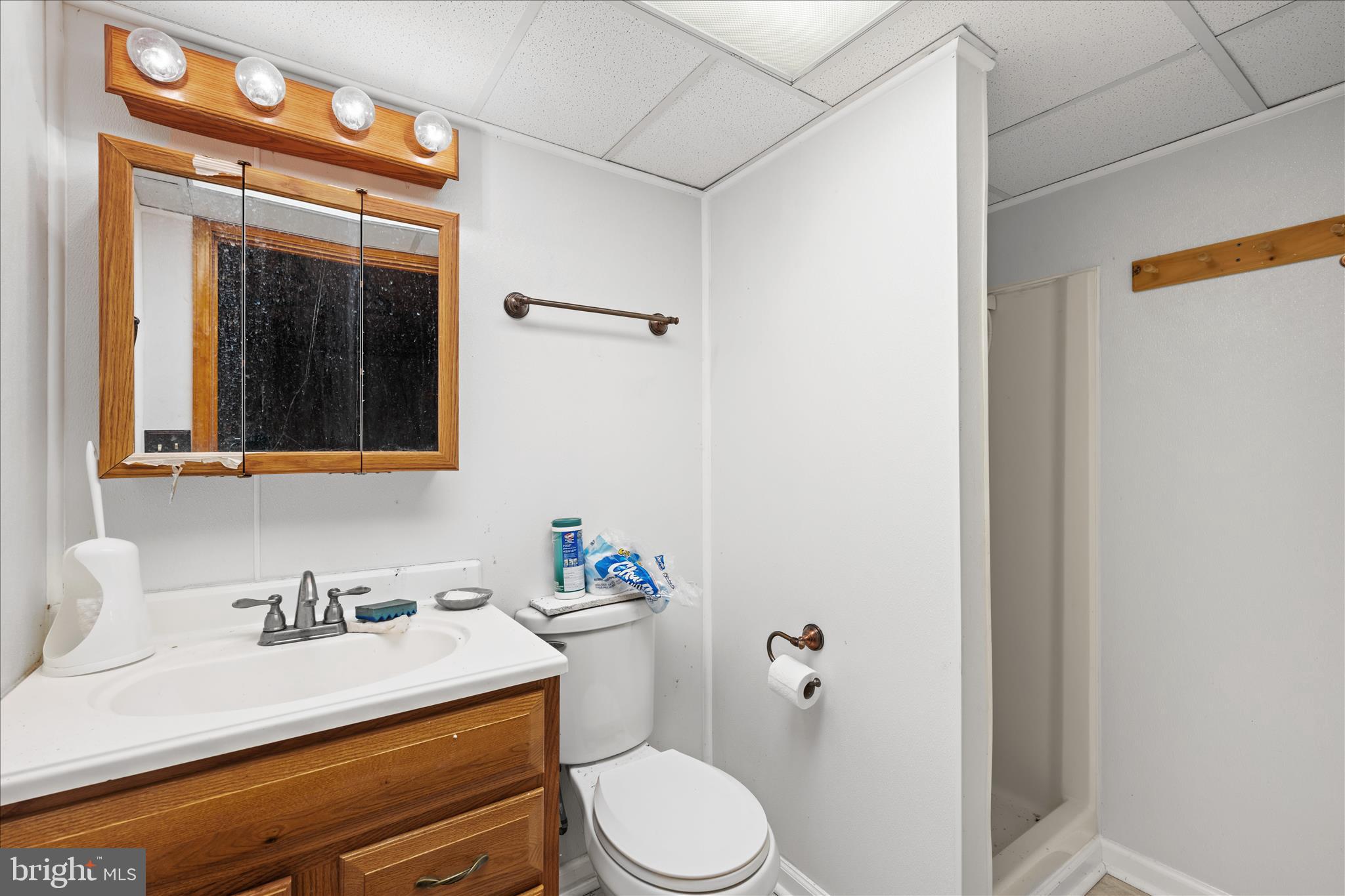 4176 Timber Ridge Road Berkeley Springs, WV 25411 - Photo 36 of 61 a bathroom with a sink vanity mirror and toilet
