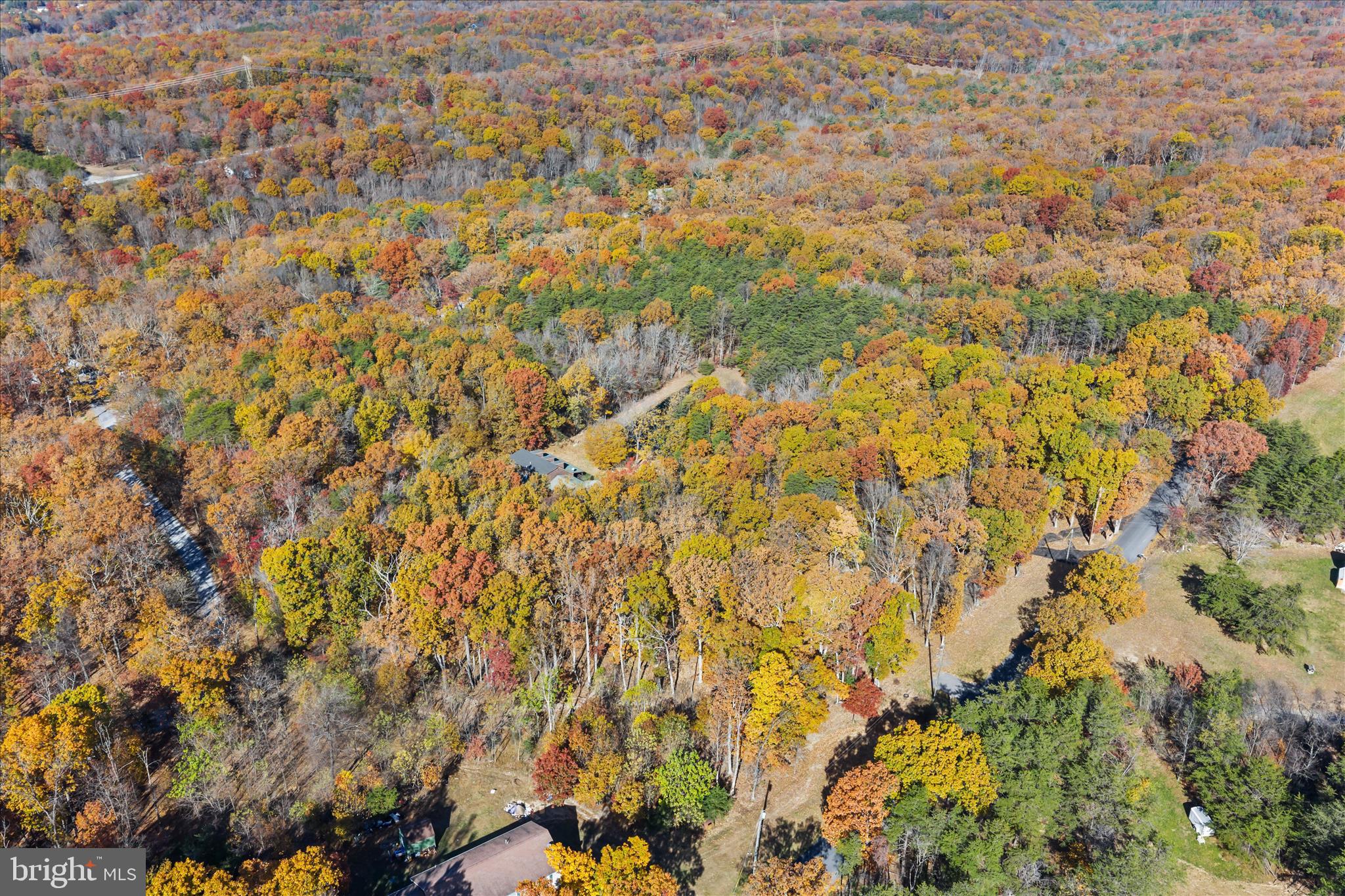 4176 Timber Ridge Road Berkeley Springs, WV 25411 - Photo 50 of 61 a view of a yard