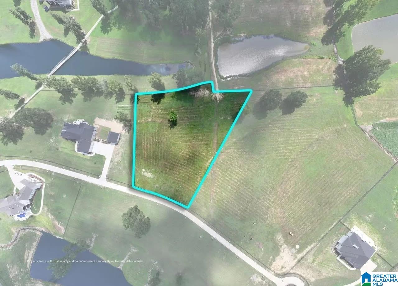 Lot 2 County Road 706, Unit 2 Cullman, AL 35055 - Photo 14 of 30