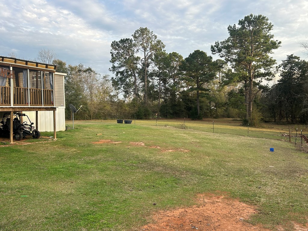 1349 Benton Store Road Columbia, AL 36319 - Photo 4 of 18