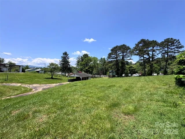 a view of a park with large trees