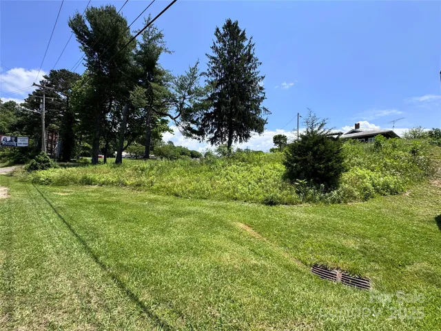 a view of a garden with a tree