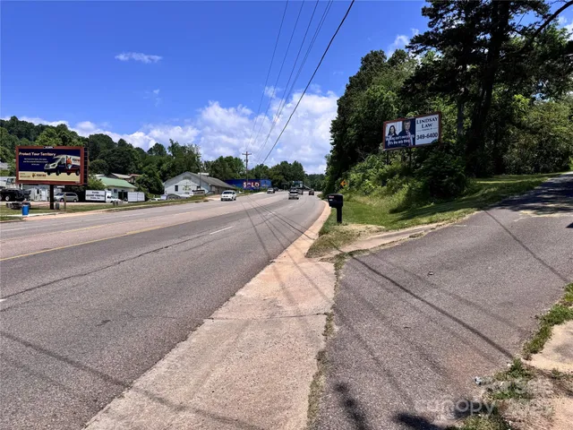 a street view with large trees