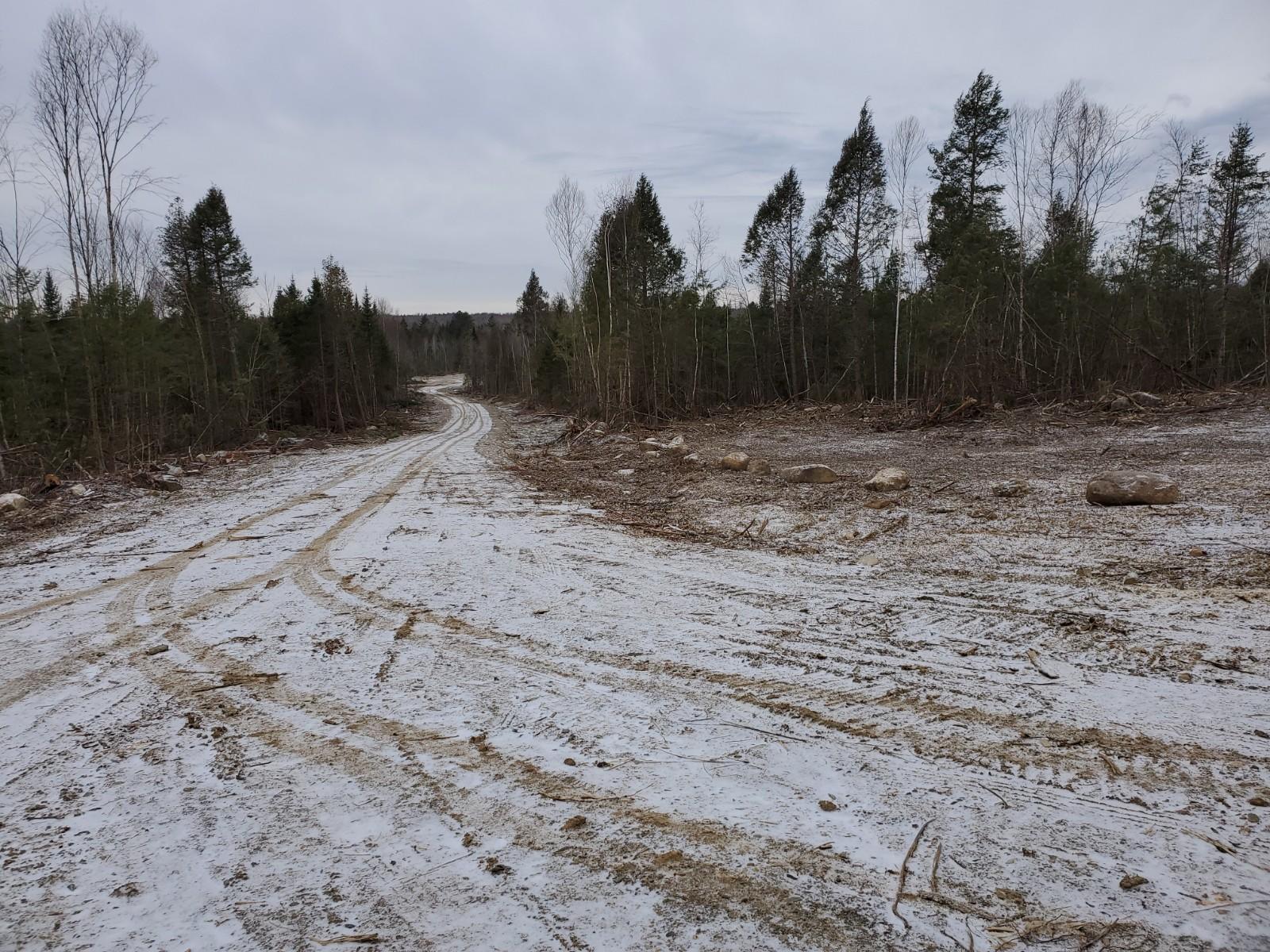 Lot # East Haynes Road Wytopitlock, ME 04497 - Photo 5 of 6 20201119_142406