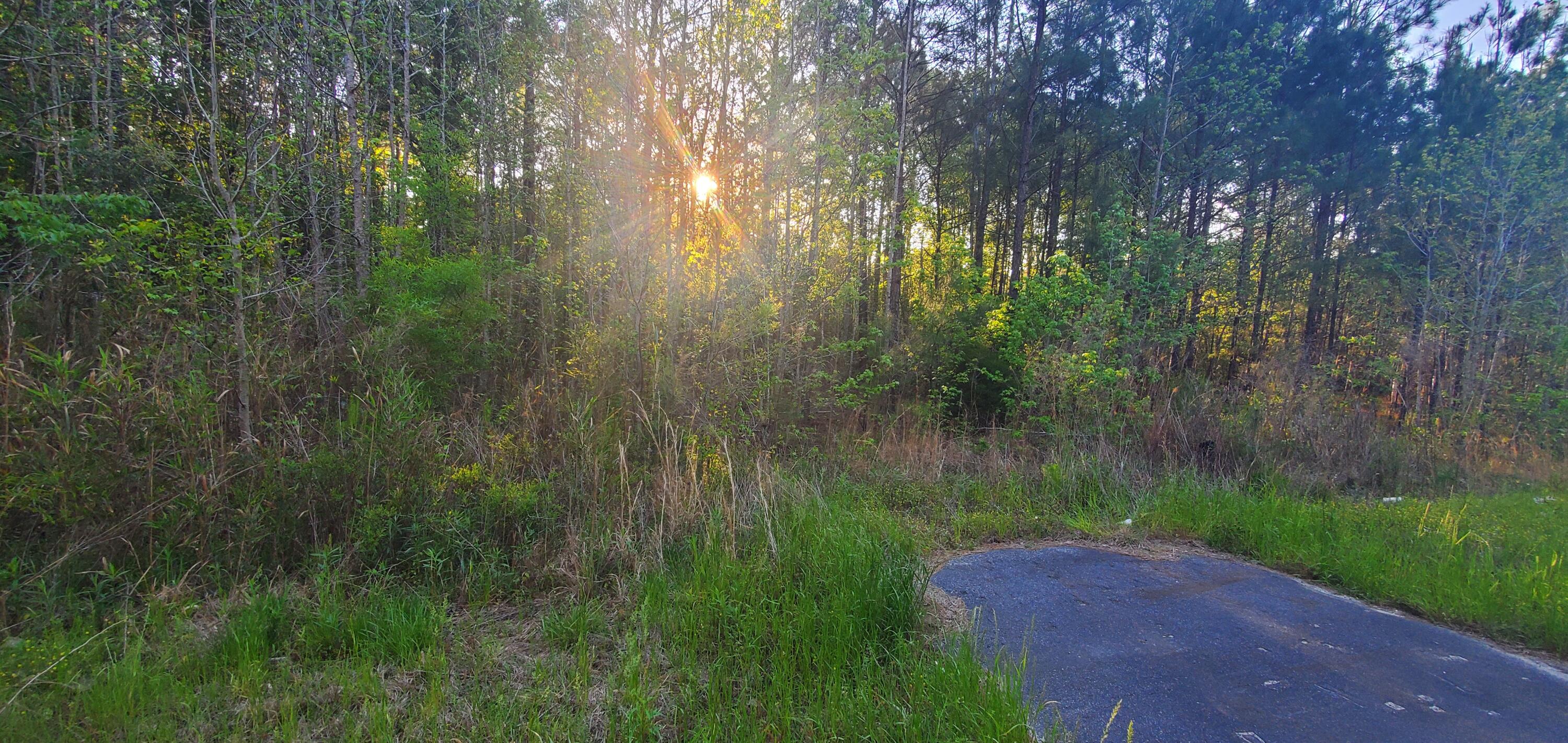 0 Givhans Road Ridgeville, SC 29472 - Photo 1 of 4 20240407_184245 (1)