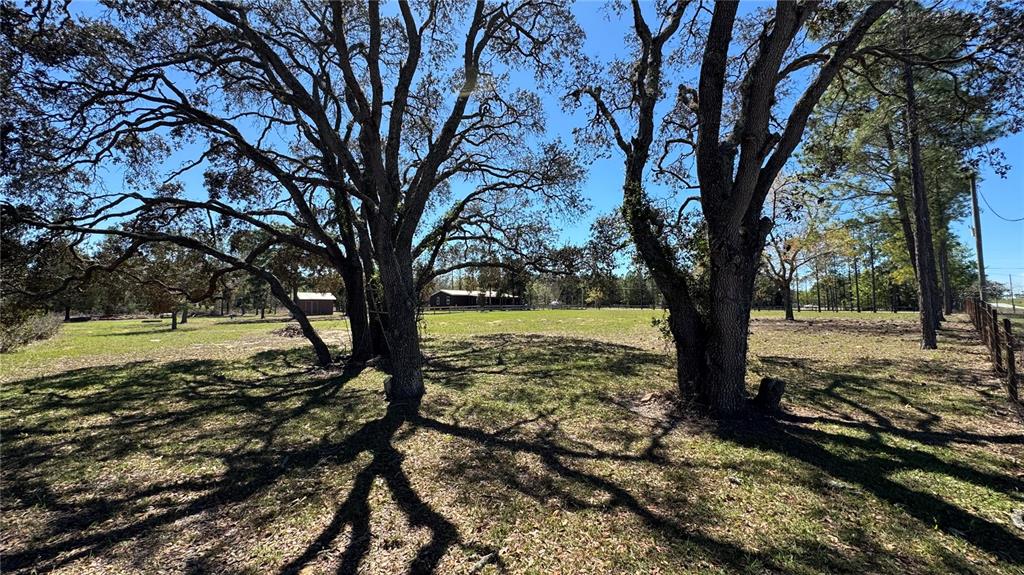 6845 South Sunnyview Point Homosassa, FL 34446 - Photo 4 of 33 a view of a trees with a yard