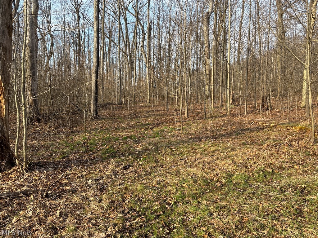 0 Fowlers Mill Road Chardon, OH 44024 - Photo 13 of 18 Gallery Image 13