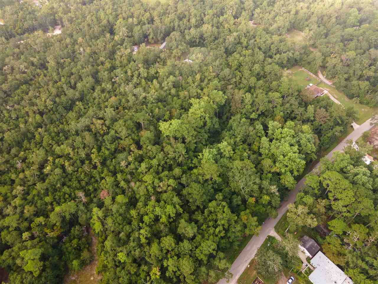 Xx Collins Landing Road, Unit 2 Tallahassee, FL 32310 - Photo 1 of 3 Gallery Image 1