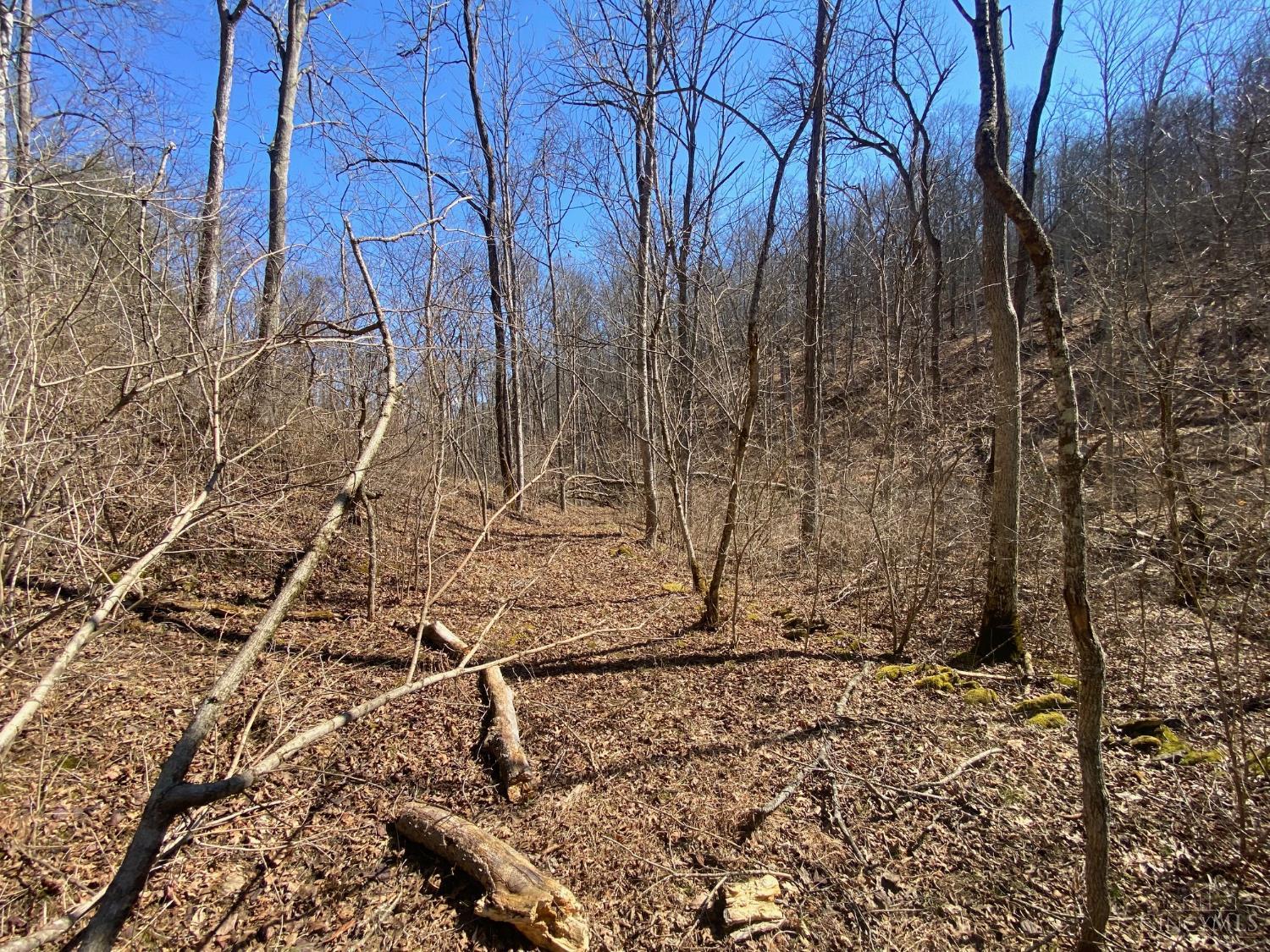 325 Old State Road Manchester, OH 45144 - Photo 10 of 27