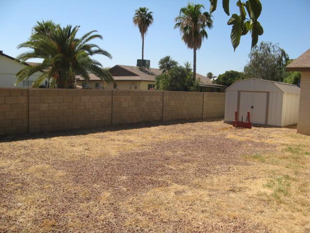 2440 South Evergreen Road Tempe, AZ 85282 - Photo 4 of 5 Backyard
