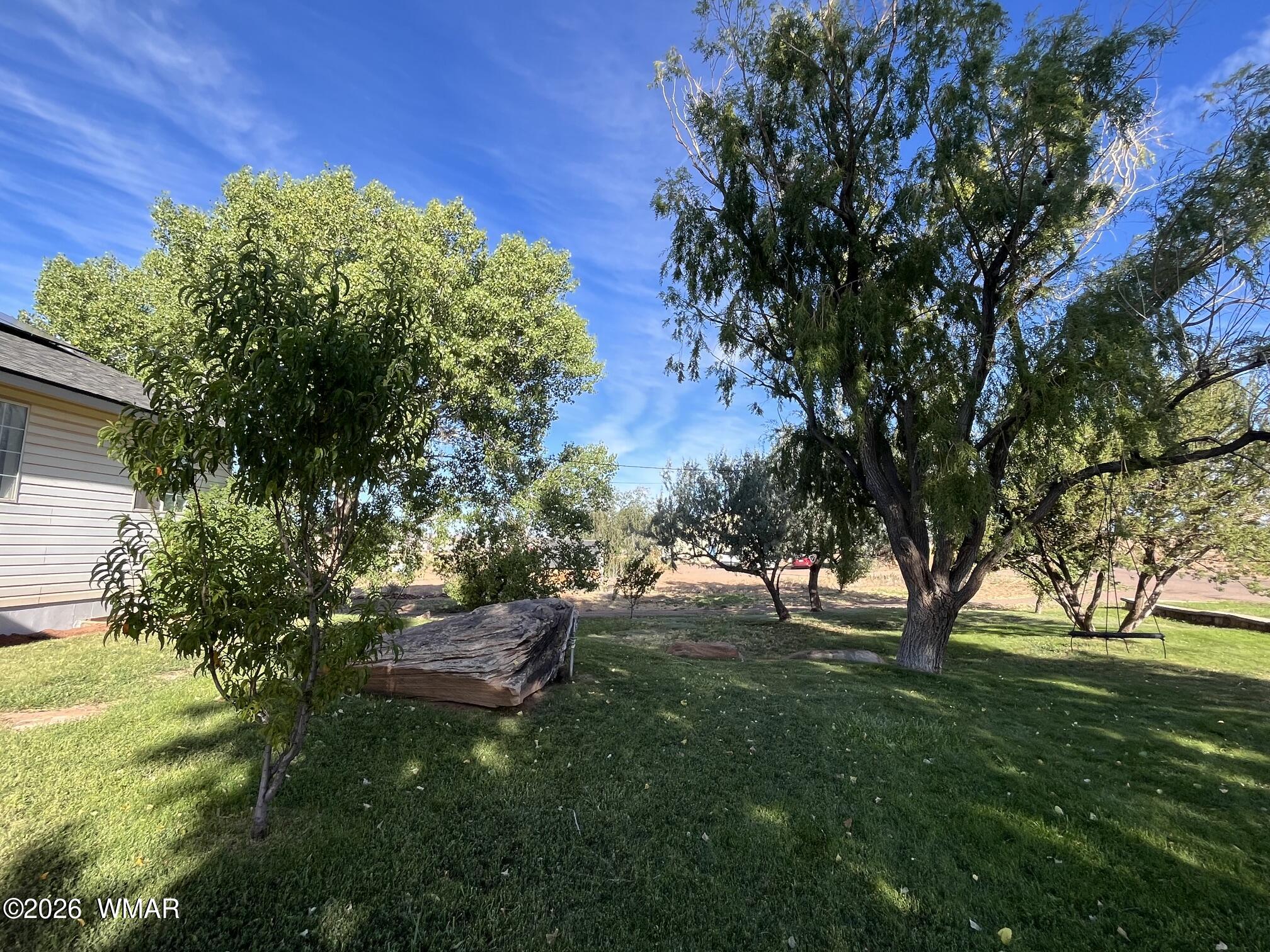 205 F-Bar Lane Snowflake, AZ 85937 - Photo 10 of 94