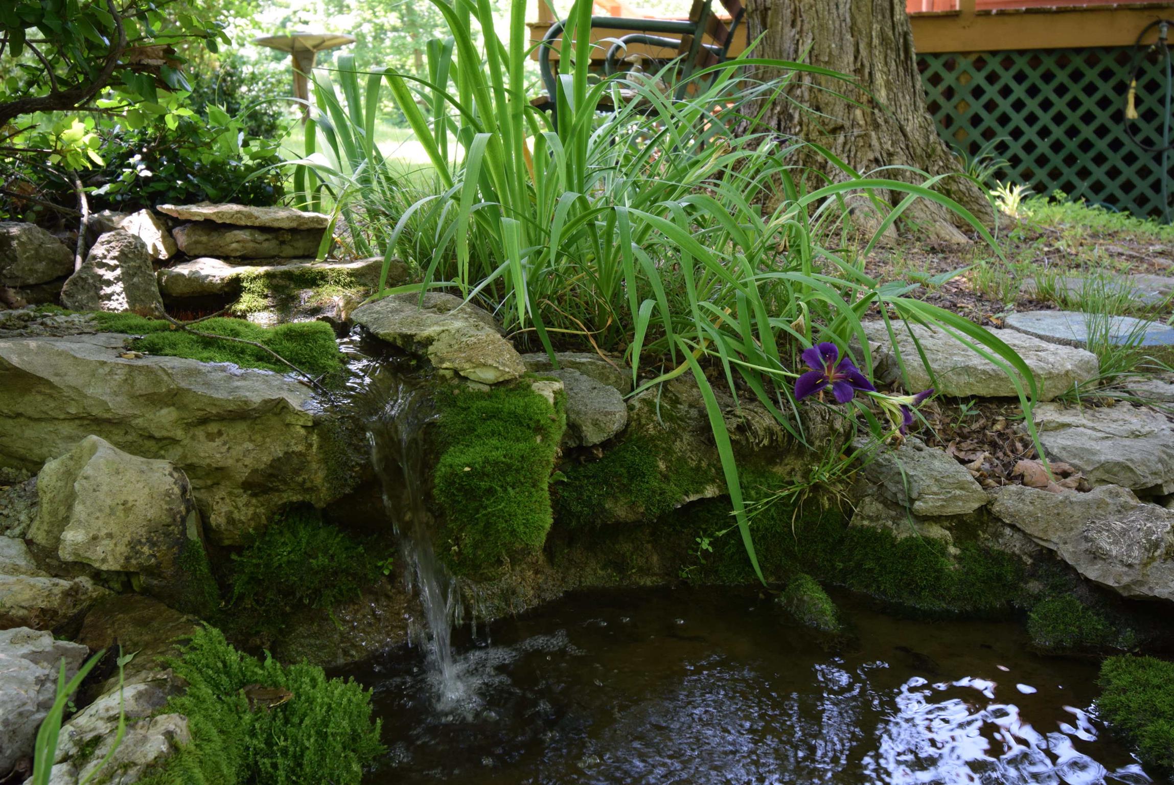 2242 Cedar Grove Road Lebanon, TN 37087 - Photo 2 of 21 a backyard of a house with lots of green space