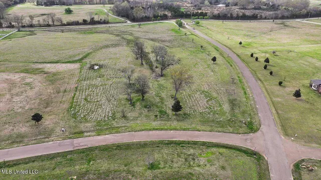 $95,000 | 0 Lovorn Court, Flora, MS 39071