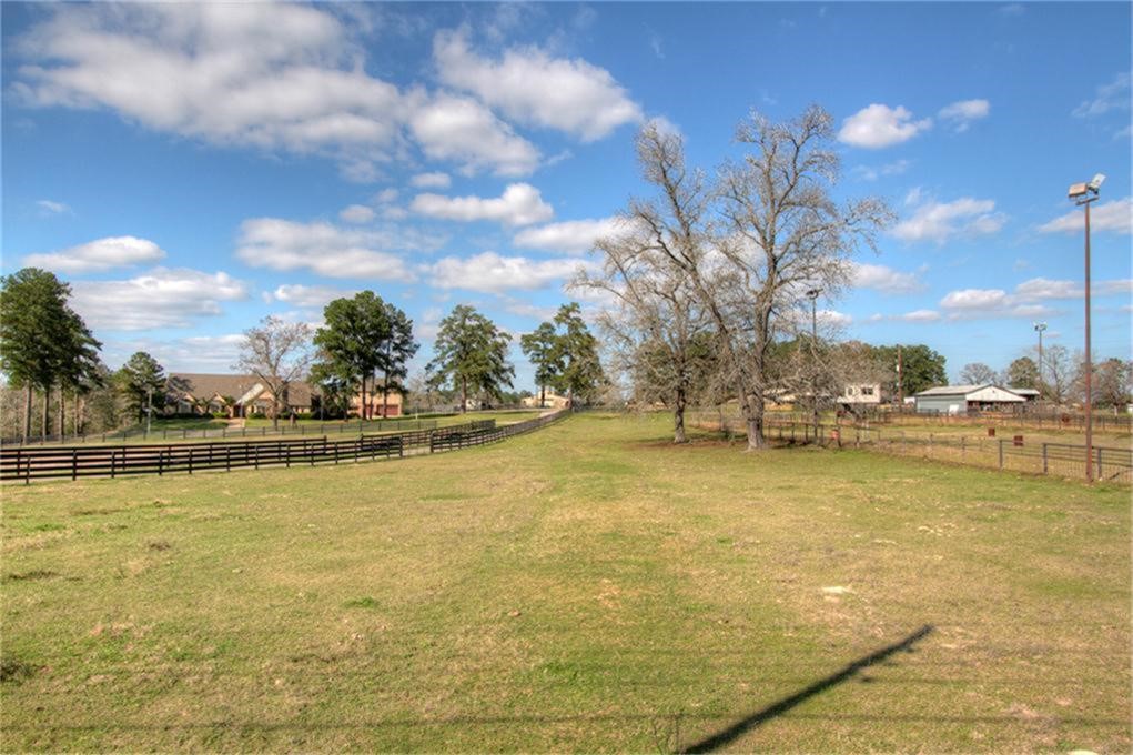 10436 League Line Road Conroe, TX 77304 - Photo 6 of 34