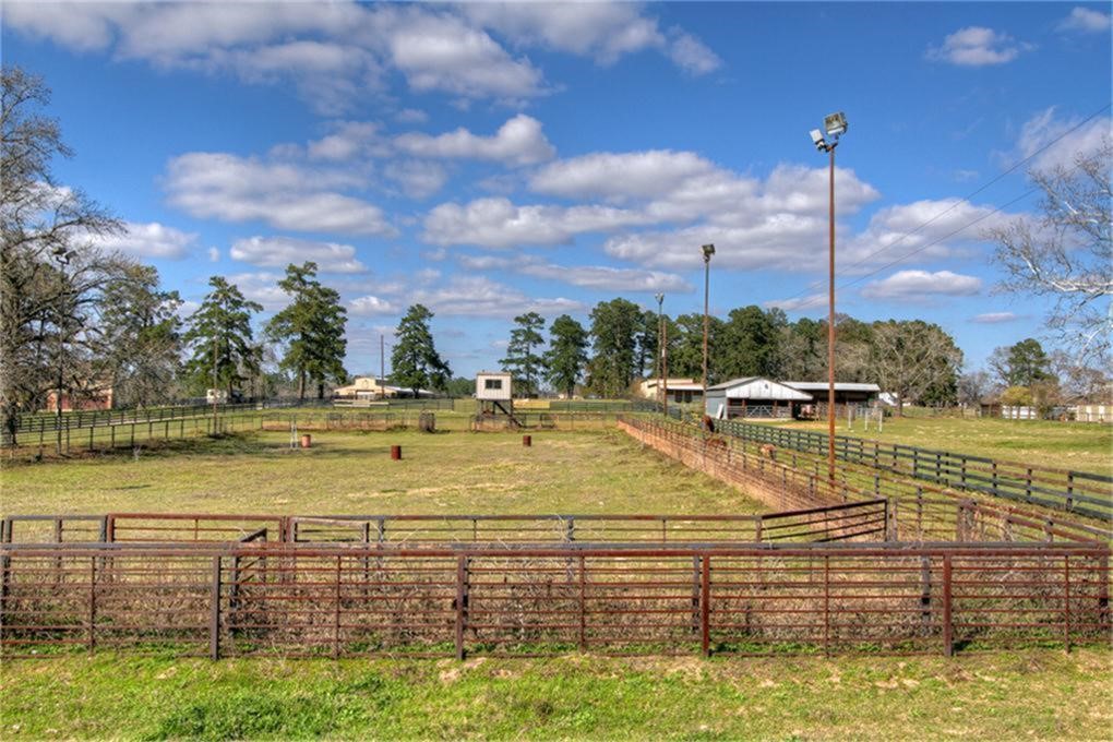 10436 League Line Road Conroe, TX 77304 - Photo 7 of 34