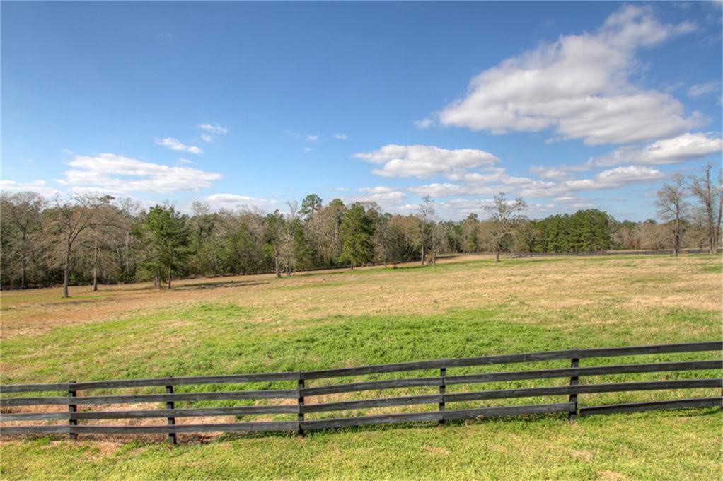 10436 League Line Road Conroe, TX 77304 - Photo 9 of 34