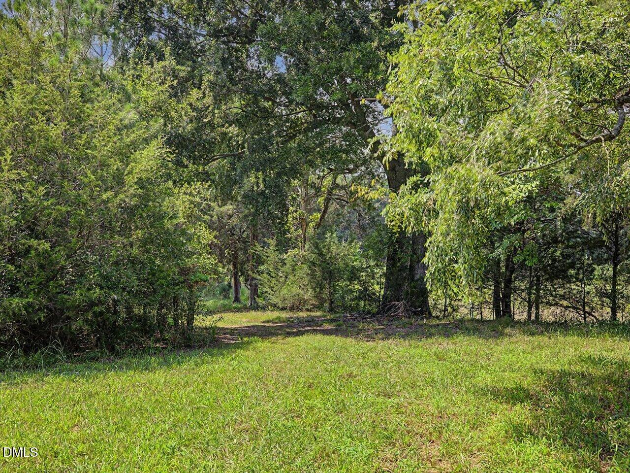 147 Carl Johnson Road Snow Camp, NC 27349 - Photo 51 of 68 53-Paths