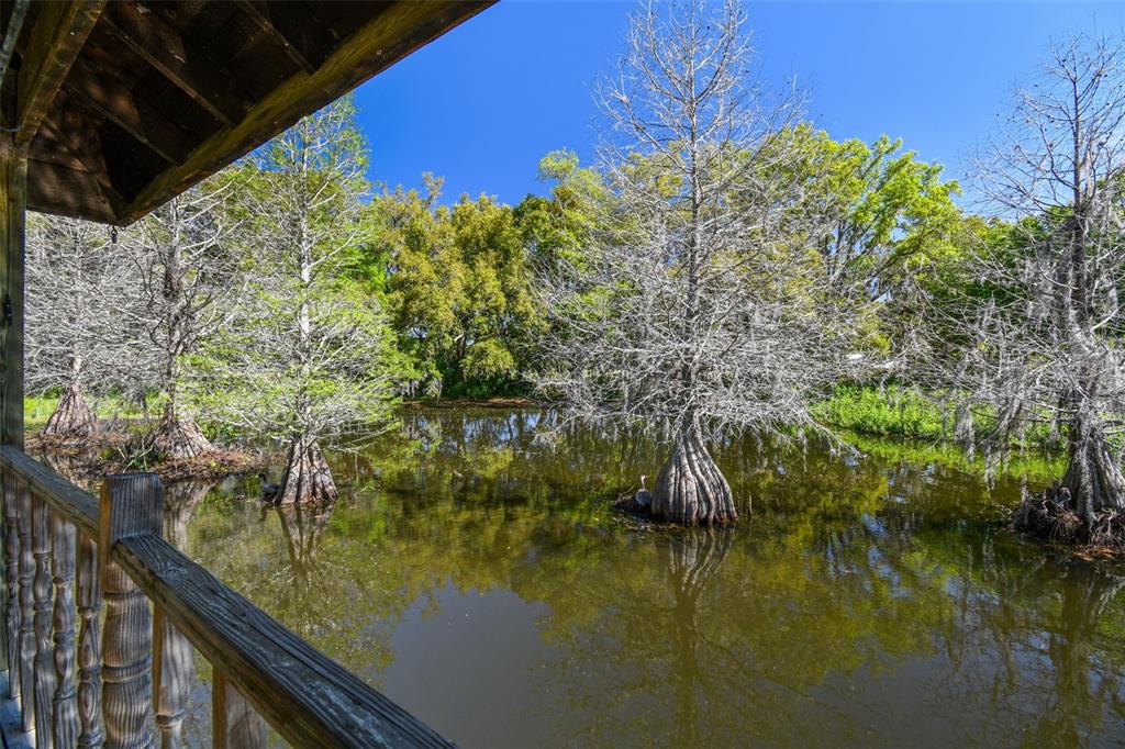 27547 Miller Road Dade City, FL 33525 - Photo 75 of 100 Gallery Image 75