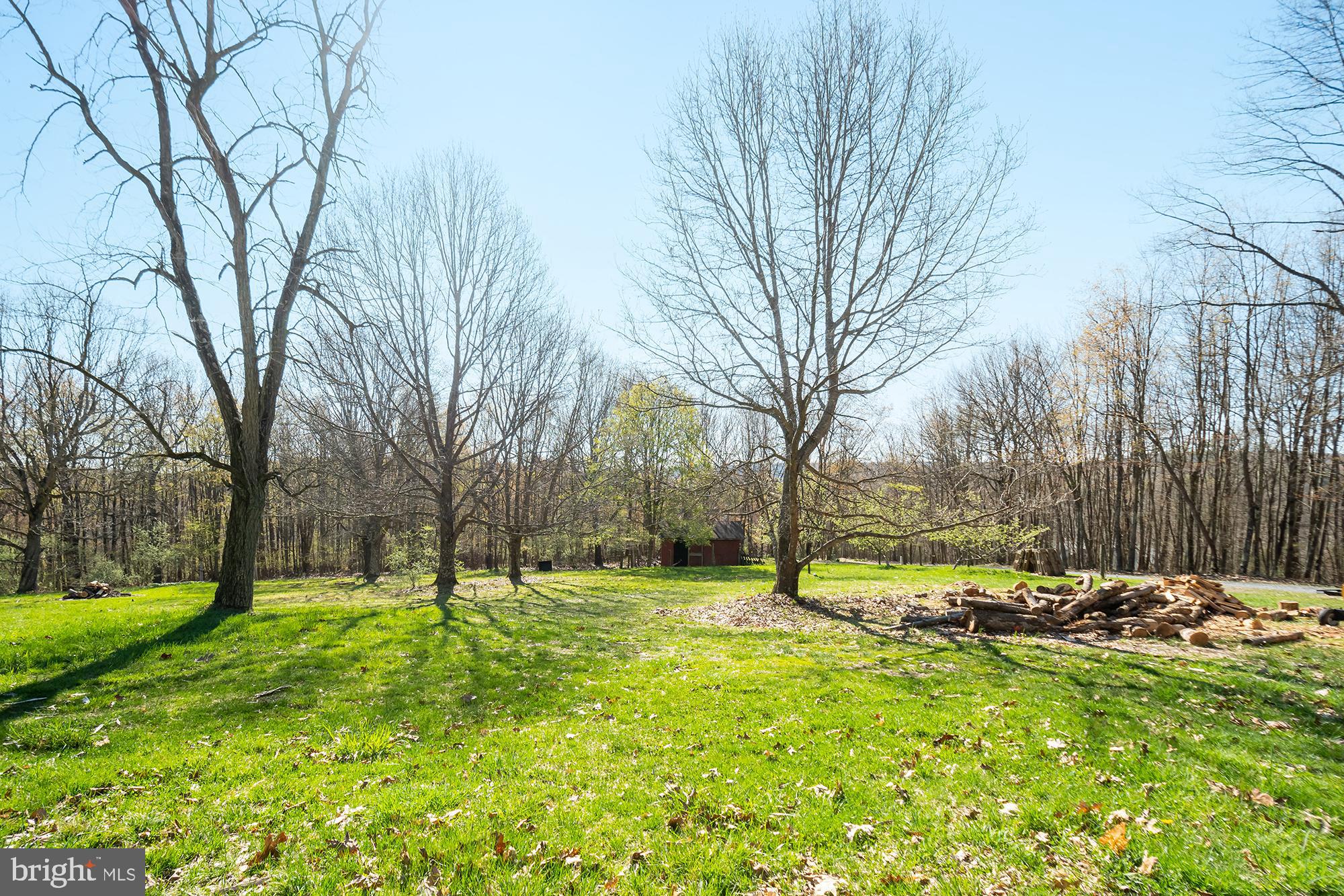 724 Fort Hill Road Swanton, MD 21561 - Photo 24 of 52