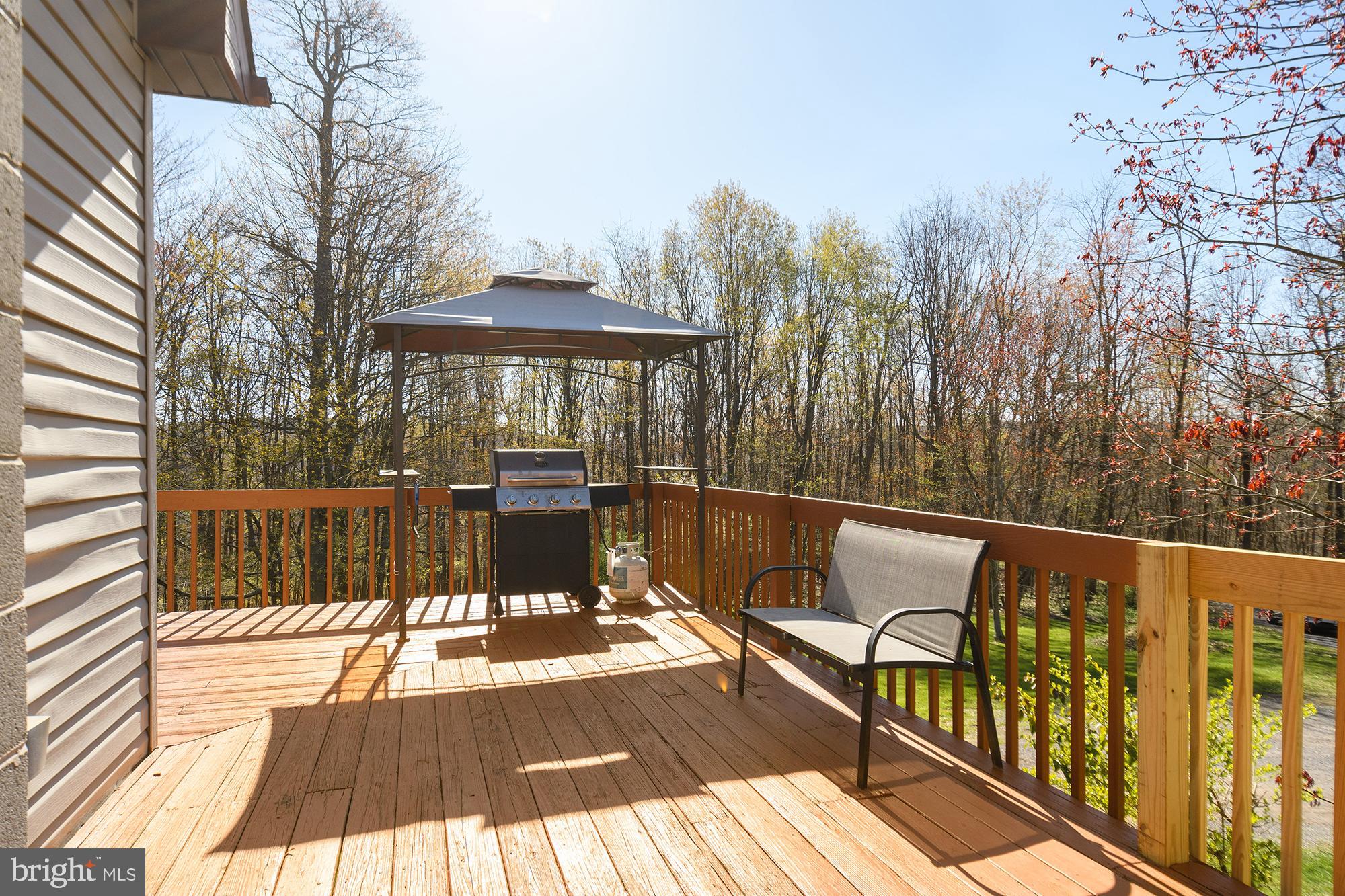 724 Fort Hill Road Swanton, MD 21561 - Photo 9 of 52