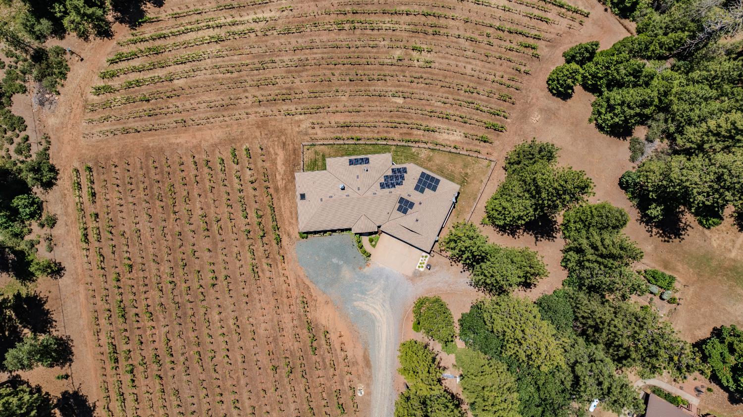 18591 Ponderosa Hills Road Volcano, CA 95689 - Photo 91 of 92