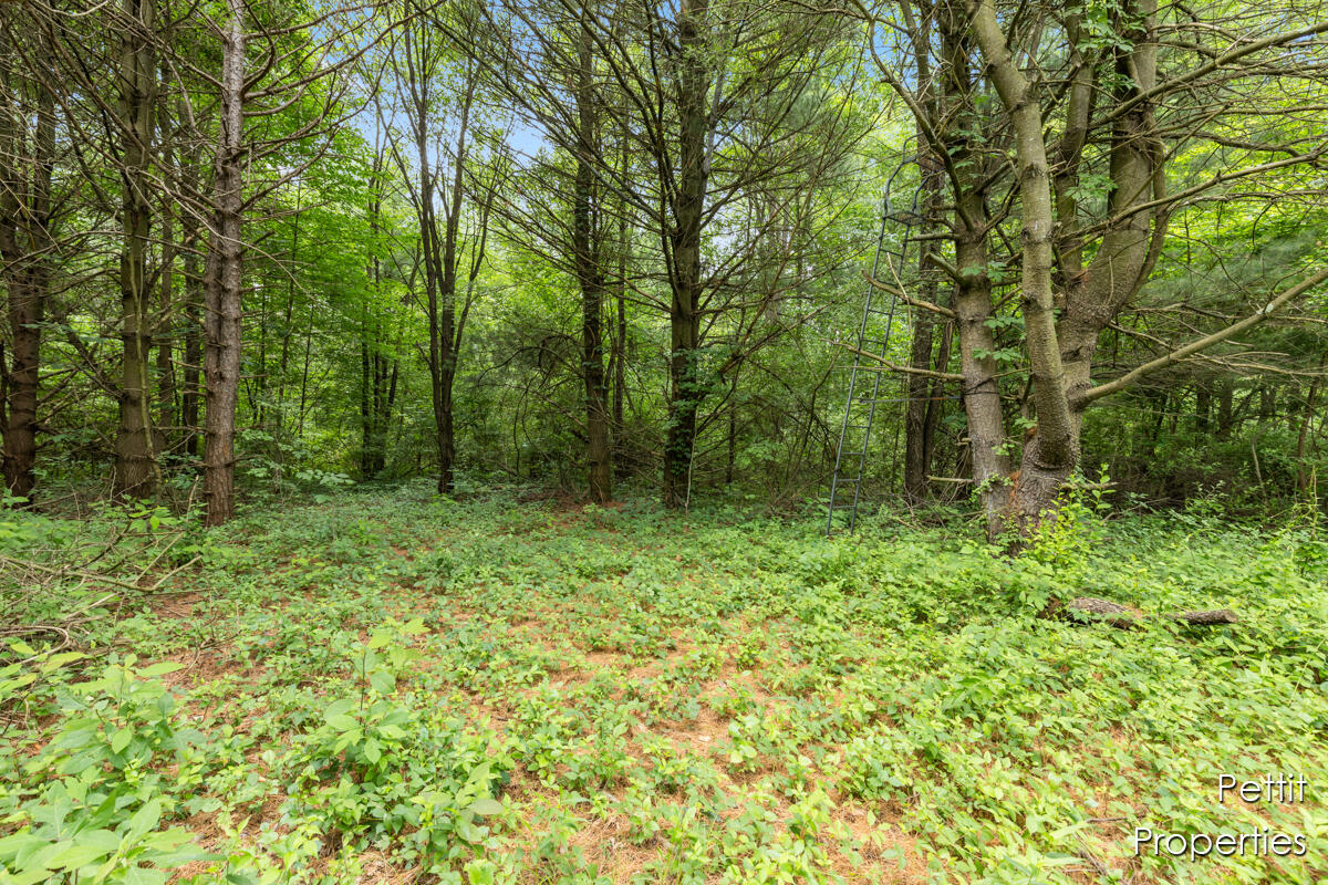 6804 South Maple Island Road Nunica, MI 49448 - Photo 11 of 26 IMG_1009