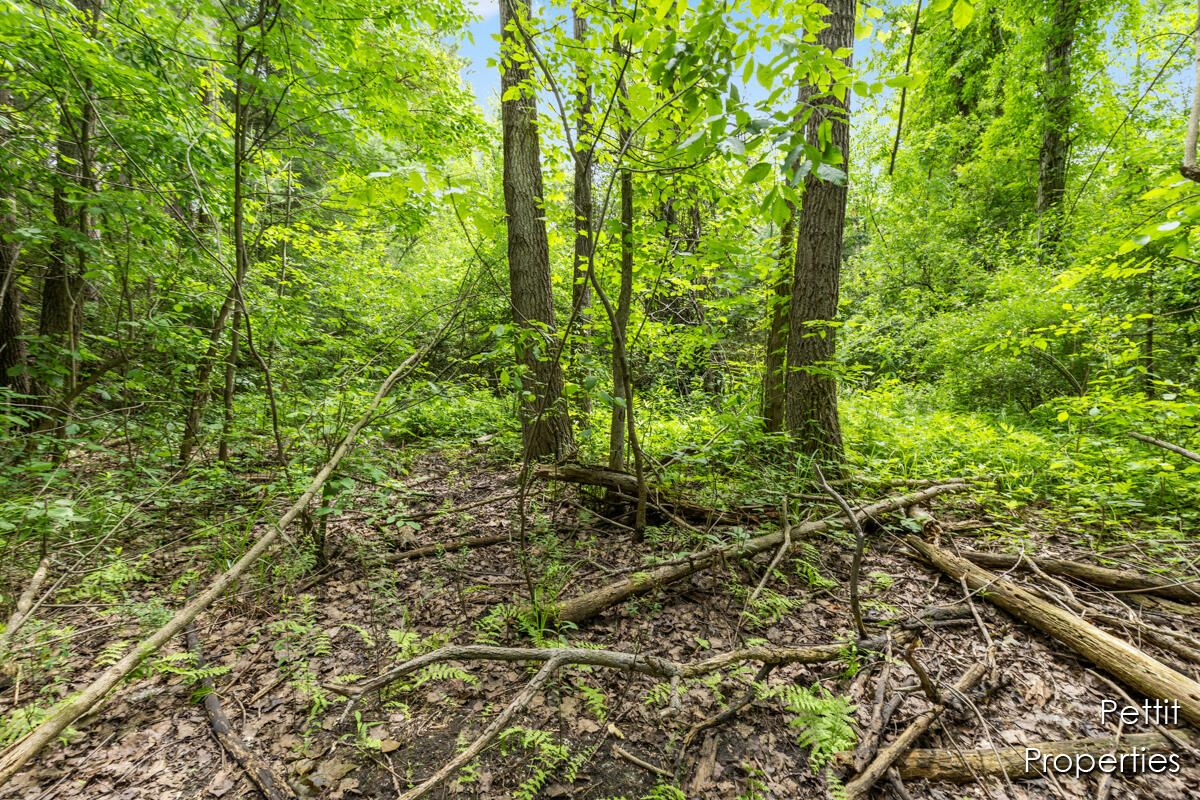 6804 South Maple Island Road Nunica, MI 49448 - Photo 12 of 26 IMG_1010