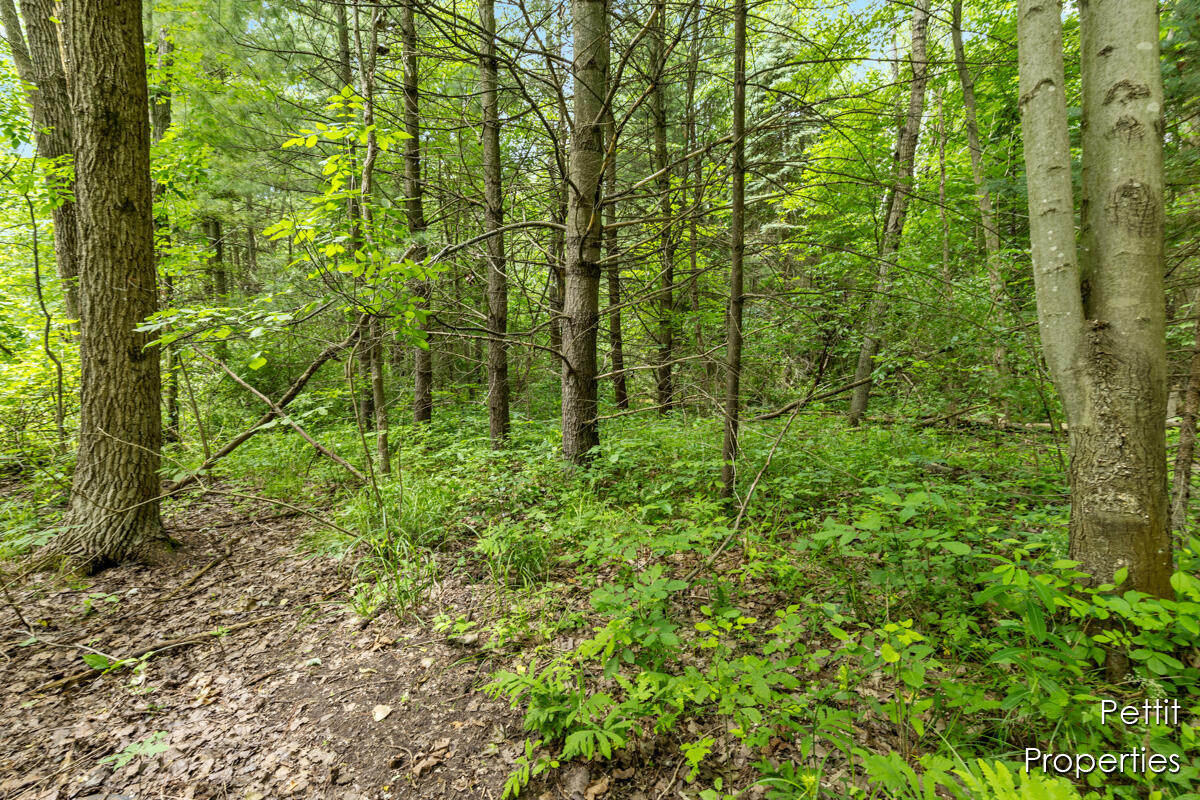 6804 South Maple Island Road Nunica, MI 49448 - Photo 13 of 26 IMG_1011