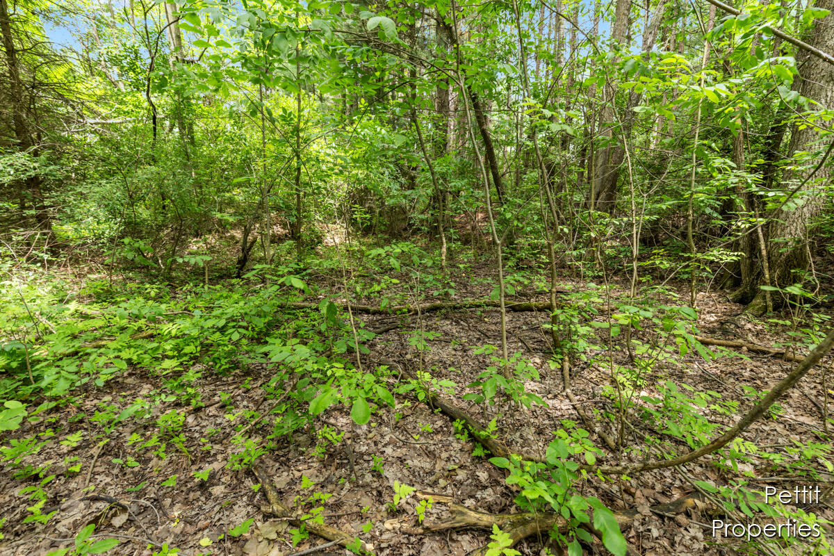 6804 South Maple Island Road Nunica, MI 49448 - Photo 14 of 26 IMG_1012