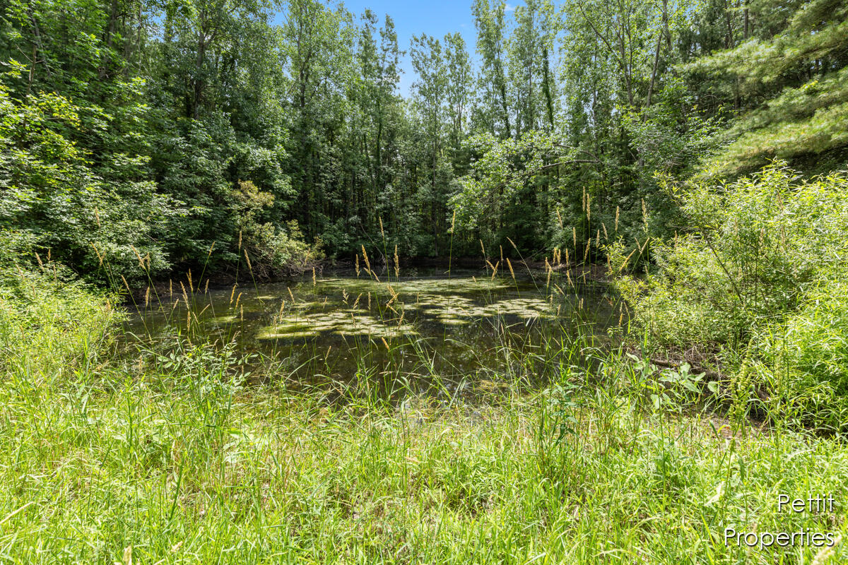 6804 South Maple Island Road Nunica, MI 49448 - Photo 16 of 26 IMG_1014