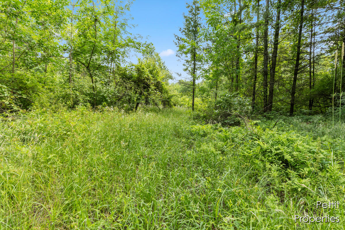 6804 South Maple Island Road Nunica, MI 49448 - Photo 17 of 26 IMG_1015