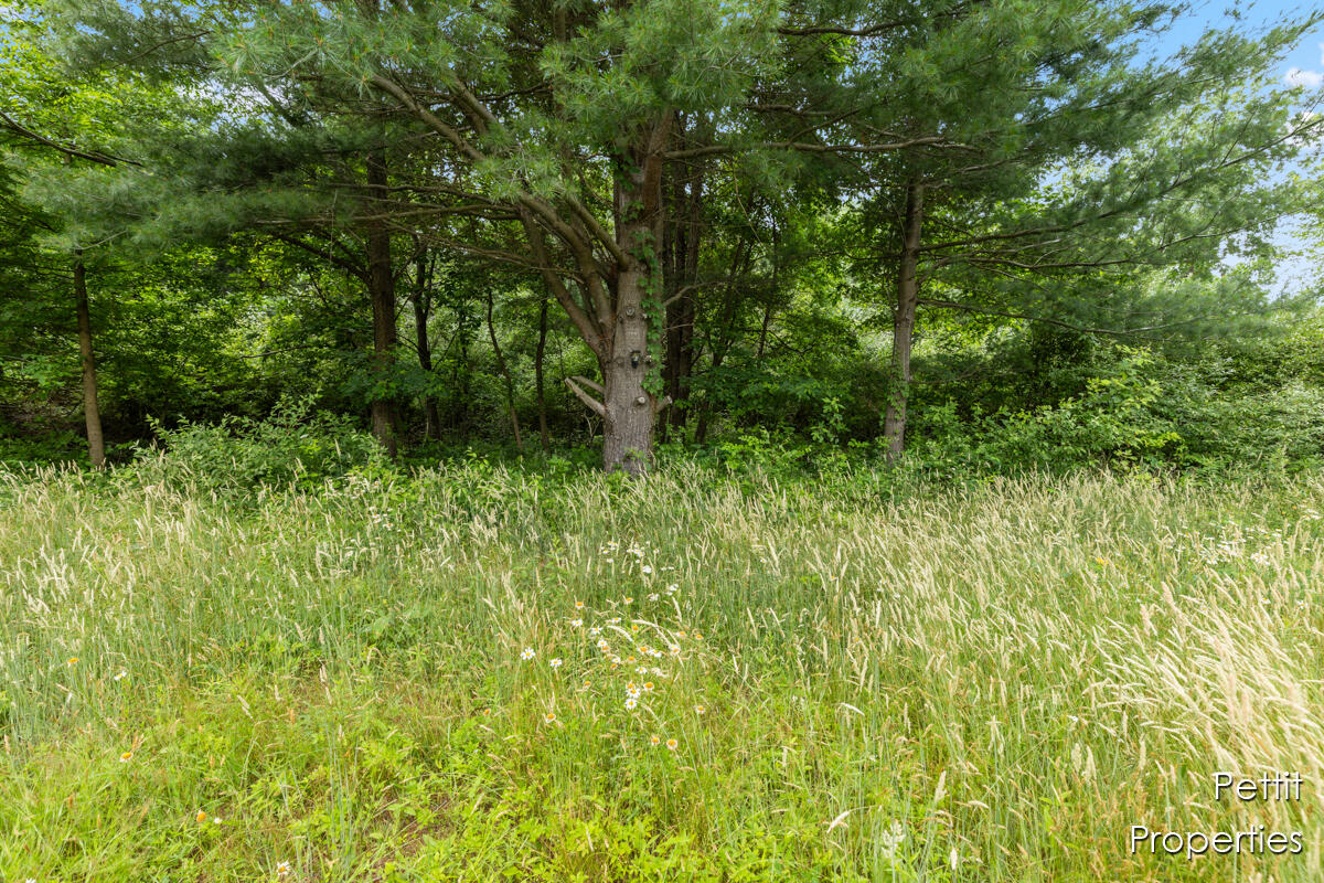 6804 South Maple Island Road Nunica, MI 49448 - Photo 5 of 26 IMG_1003