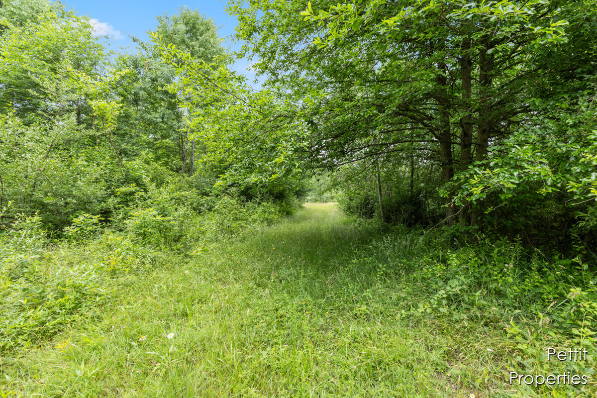 6804 South Maple Island Road Nunica, MI 49448 - Photo 8 of 26 IMG_1006