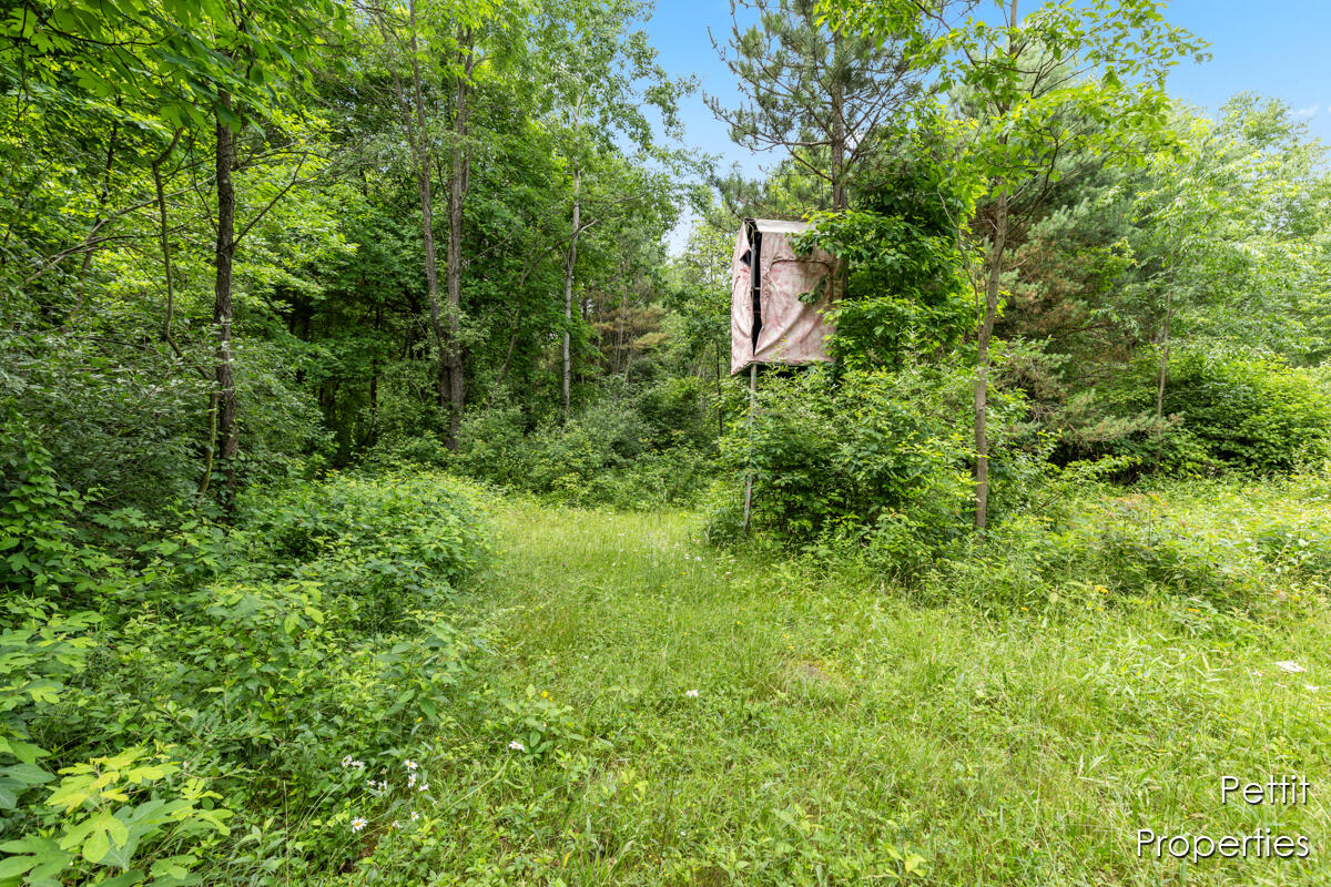 6804 South Maple Island Road Nunica, MI 49448 - Photo 9 of 26 IMG_1007