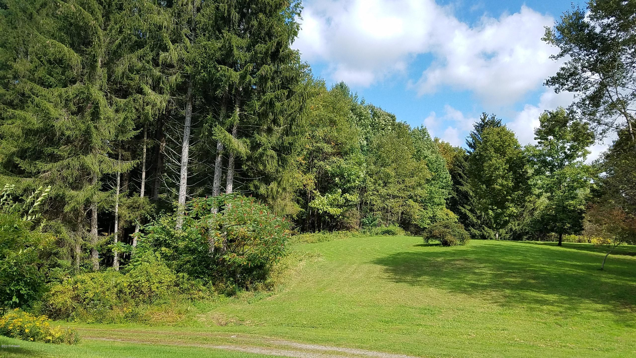 328 Signor Road East Branch, NY 13756 - Photo 2 of 16 20170915_143900