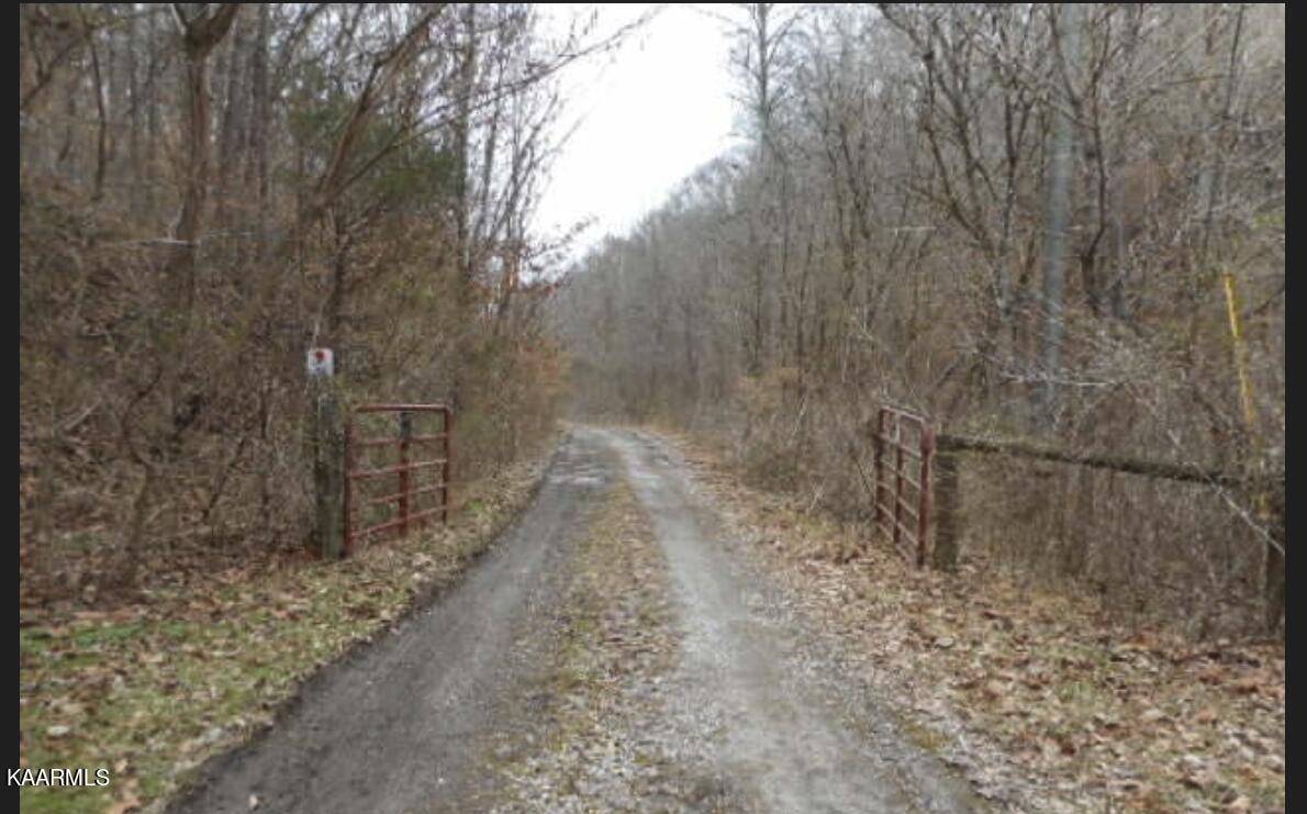 158 Keystown Road Luttrell, TN 37779 - Photo 3 of 5 Beginning Of Driveway