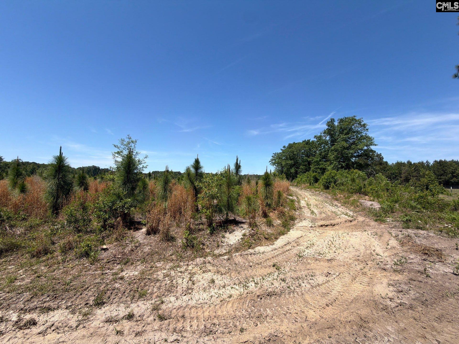 3 Holstein Road Monetta, SC 29105 - Photo 15 of 17