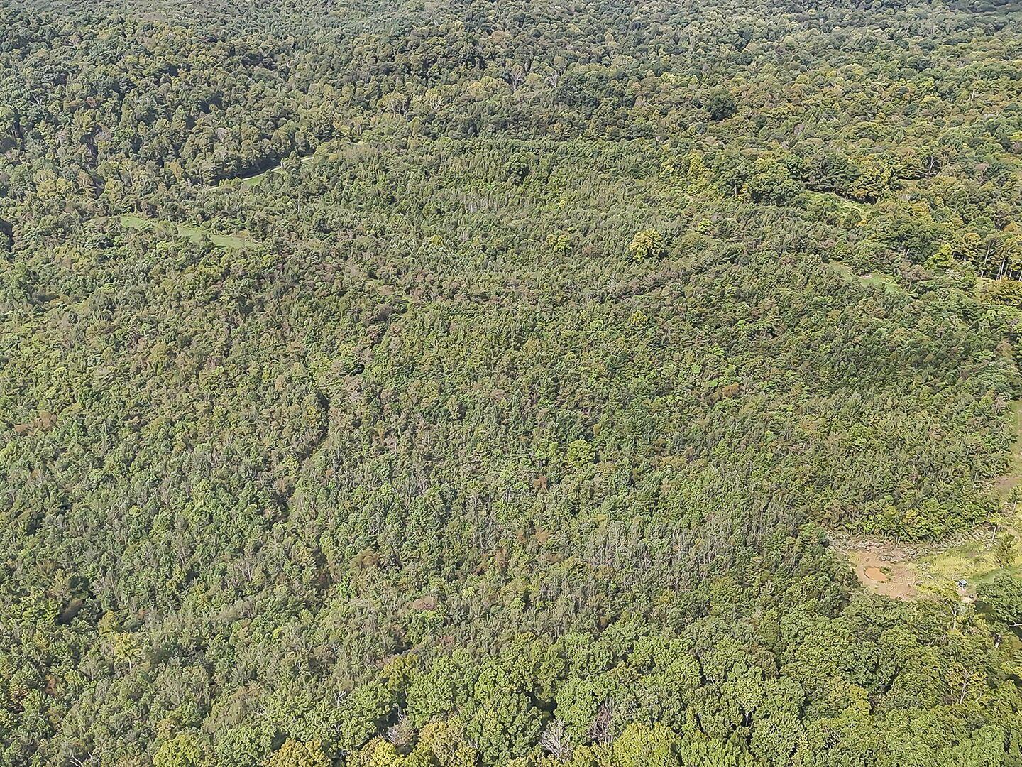 0 Cr E Road Pomeroy, OH 45769 - Photo 57 of 82 66-web-or-mls-DJI_20260918232443_0076_D