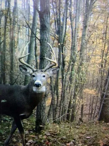 $180,000 | V/l 125th Avenue, Rodney, MI 49342