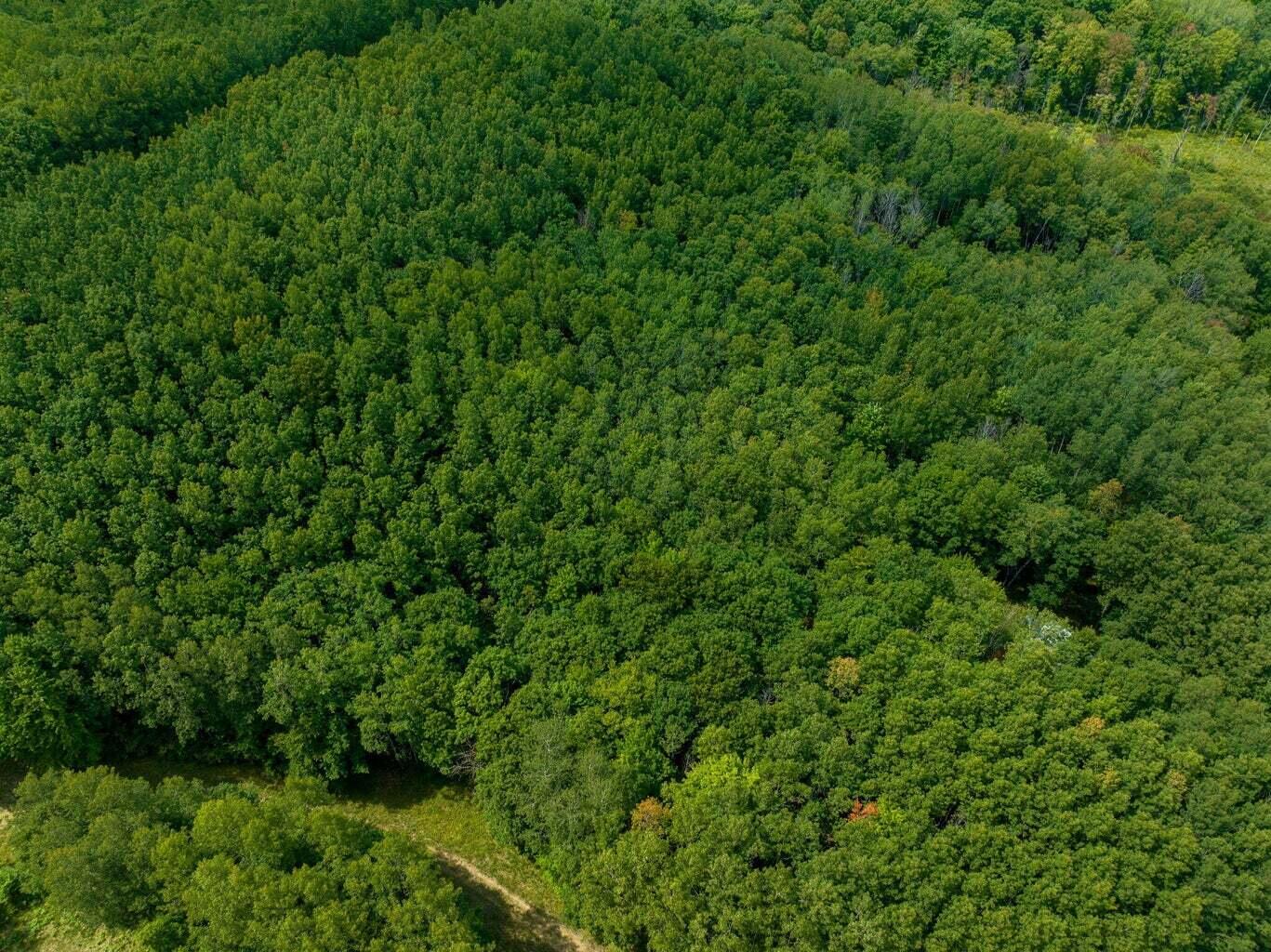 V/l 125th Avenue Rodney, MI 49342 - Photo 4 of 9 9