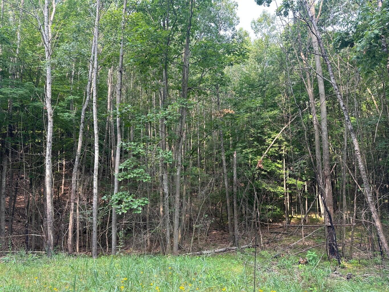 V/l 125th Avenue Rodney, MI 49342 - Photo 5 of 9 8