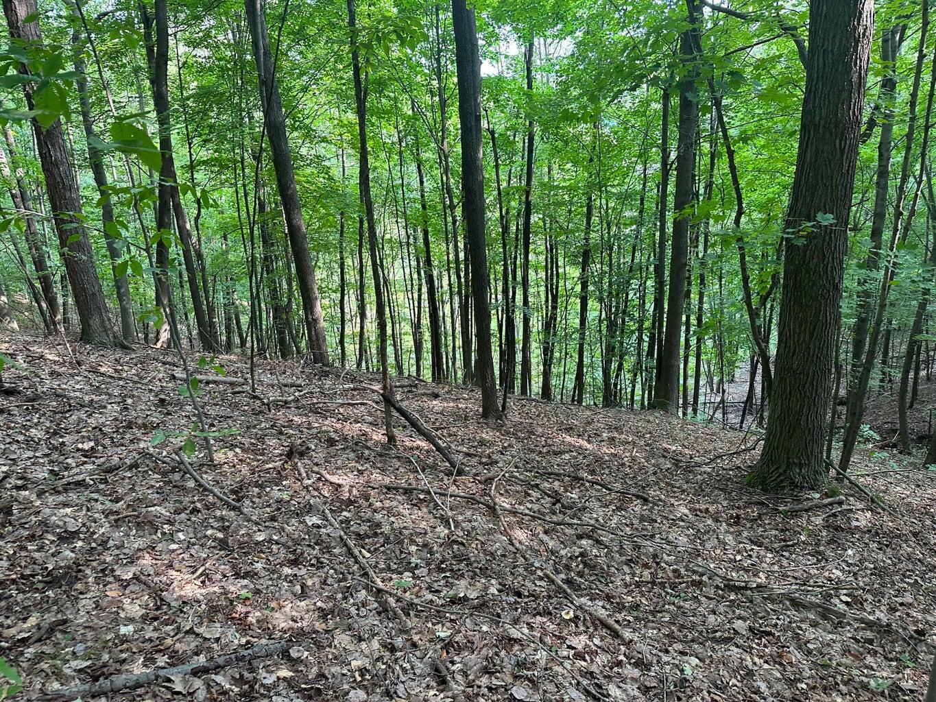 V/l 125th Avenue Rodney, MI 49342 - Photo 6 of 9 5