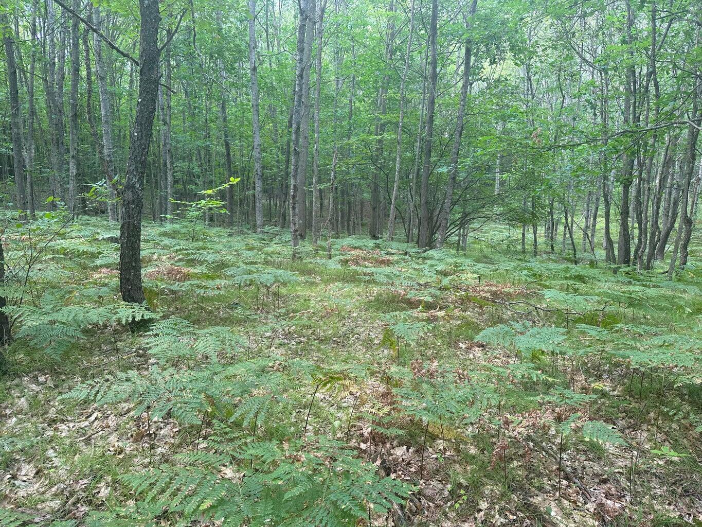 V/l 125th Avenue Rodney, MI 49342 - Photo 7 of 9 10