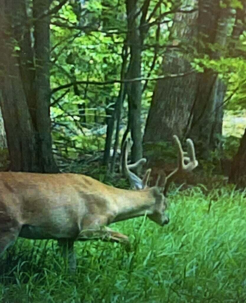 V/l 125th Avenue Rodney, MI 49342 - Photo 8 of 9 2