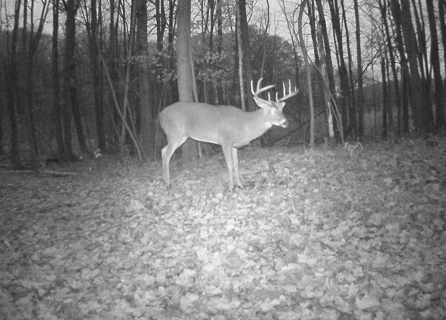 V/l 125th Avenue Rodney, MI 49342 - Photo 9 of 9 4